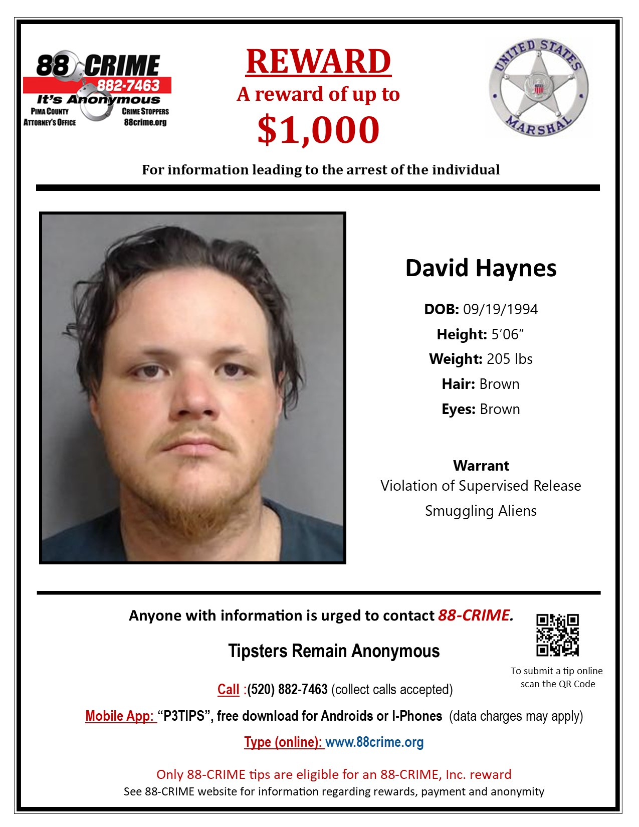 David Haynes
